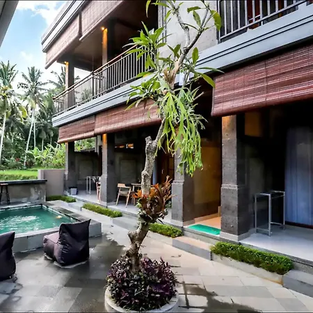 Harmony House 6. Just Built! 2 Min Ubud Center!